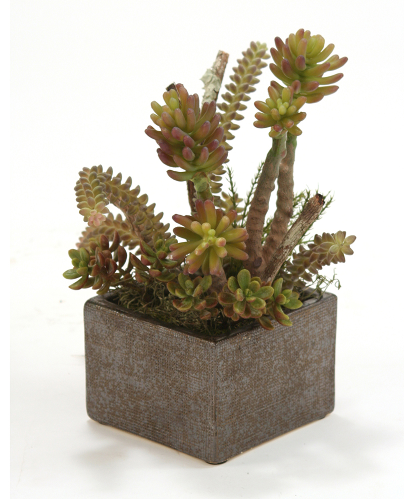 Faux Succulents with Desert Boxwood in Small Bronze Planter Faux Succulents with Desert Boxwood in Small Bronze Planter