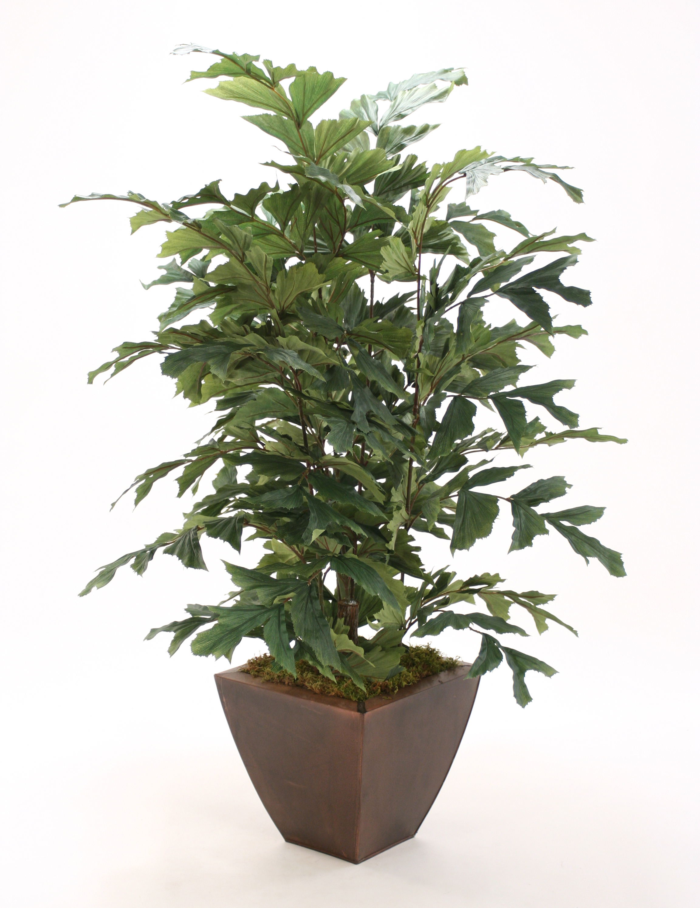 4' Fishtail Palm in Copper Planter 4' Fishtail Palm in Copper Planter