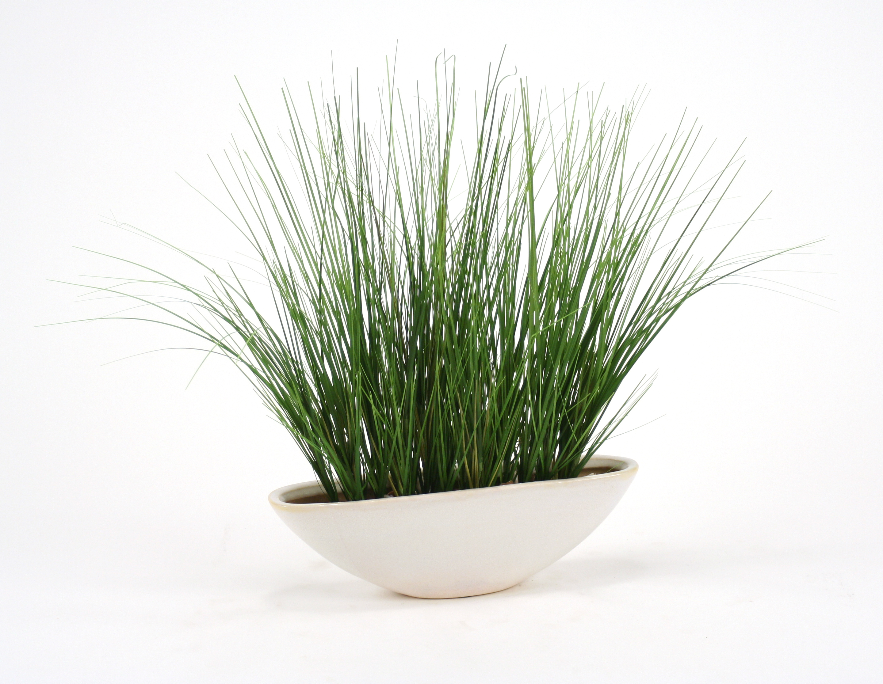 Silk Two-Tone Green Grass in White Oval Planter Silk Two-Tone Green Grass in White Oval Planter