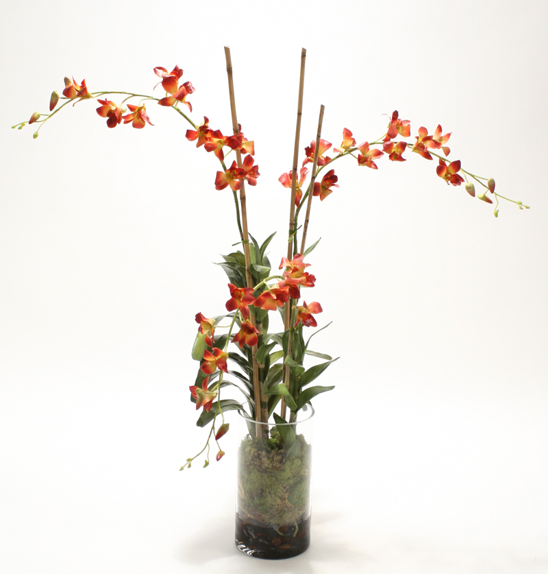 Waterlook ® Silk Rust Dendrobium Orchid Plant with Moss in a Glass Cylinder