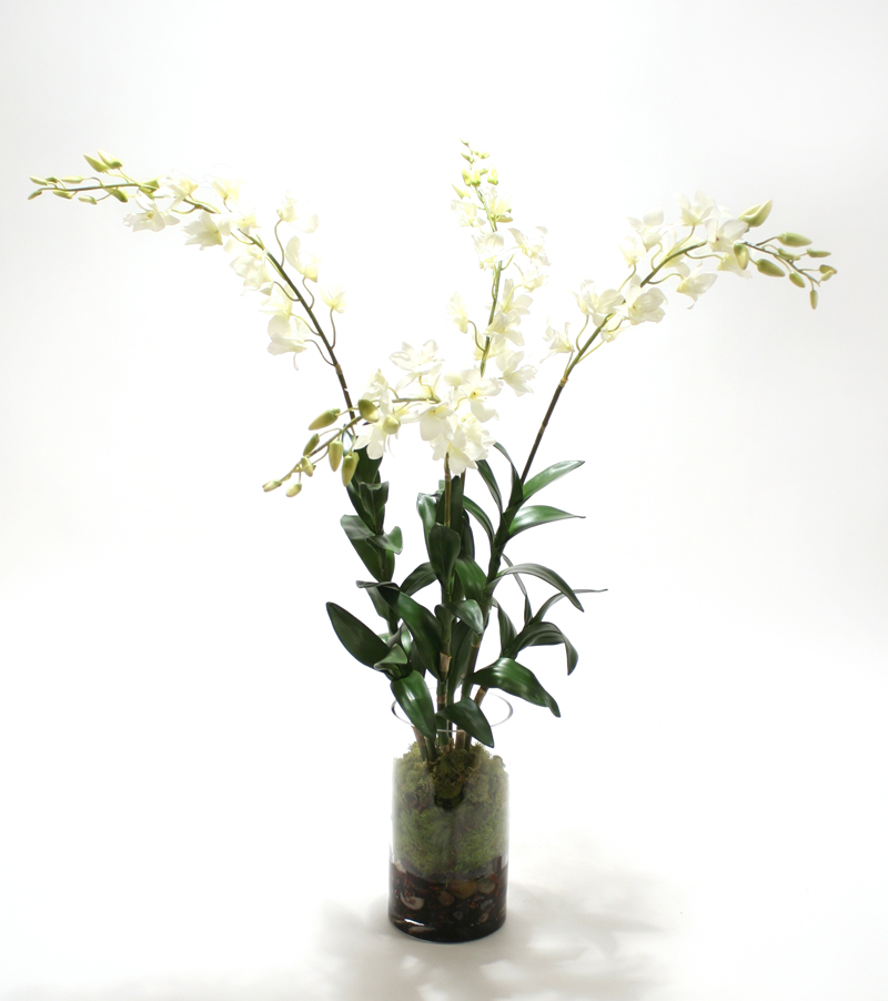 Waterlook ® Silk White Dendrobium Orchid Plant with Moss in a Glass Cylinder