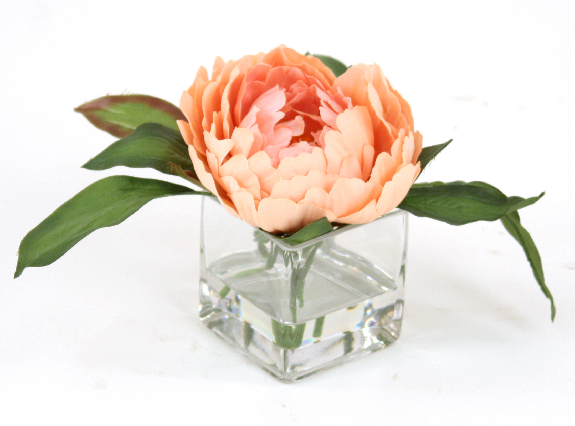 Waterlook ® Silk Peach Peony in Square Glass (Pack 3)