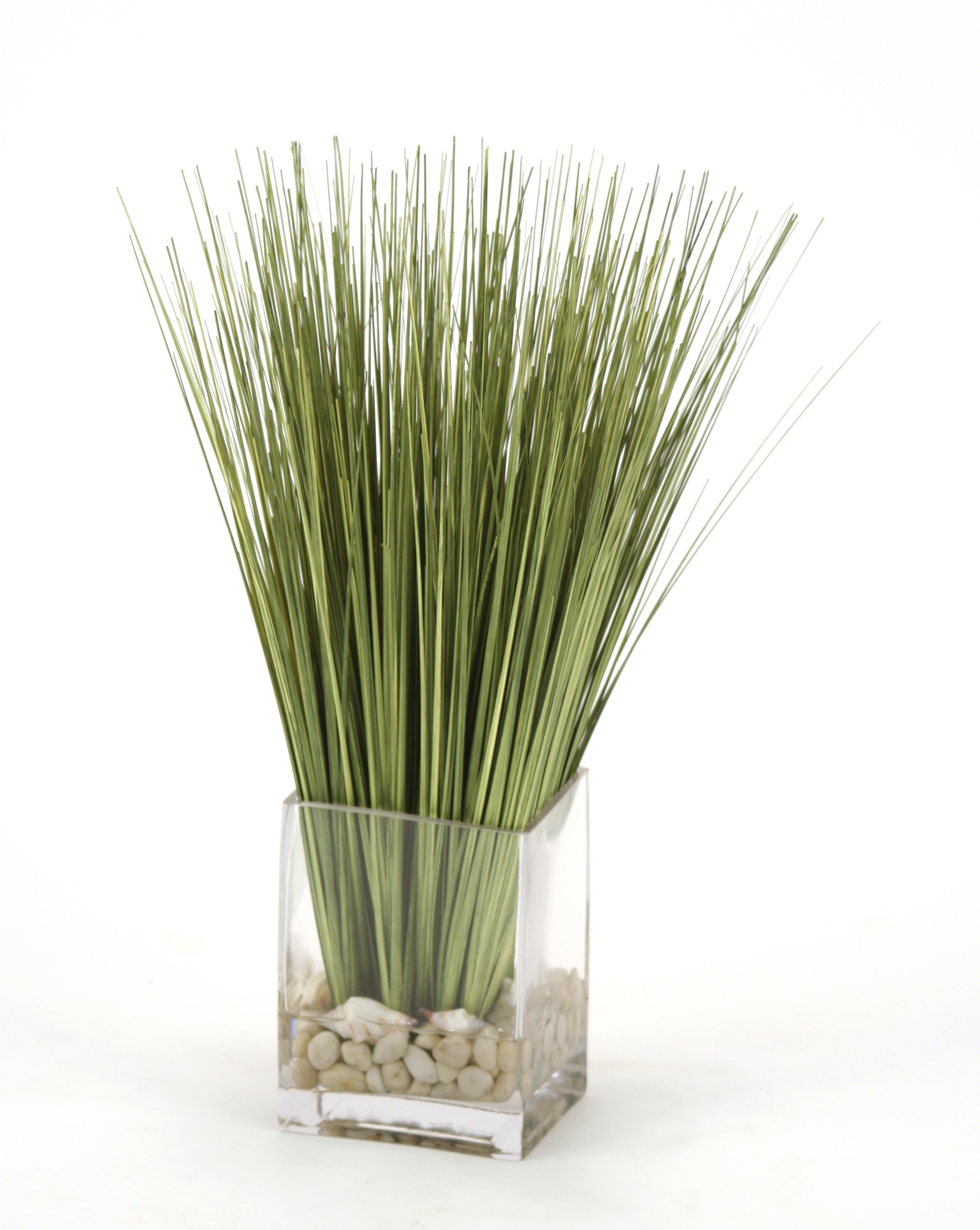Waterlook (R) Basil Grass And Pebbles In Rectangle Glass Vase Waterlook (R) Basil Grass And Pebbles In Rectangle Glass Vase