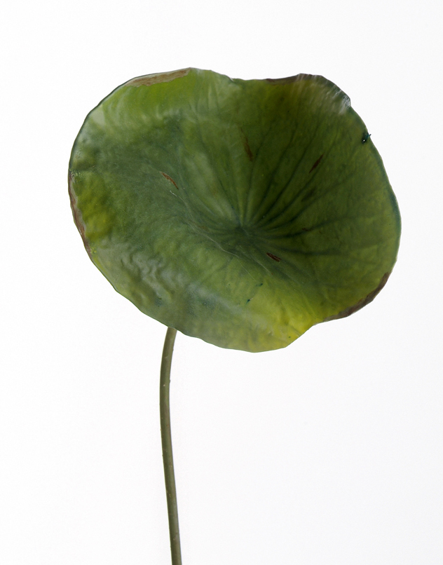 DIY Foliage 27'L Artificial Medium Green Lotus Leaf (Pack of 6; 36/Case)