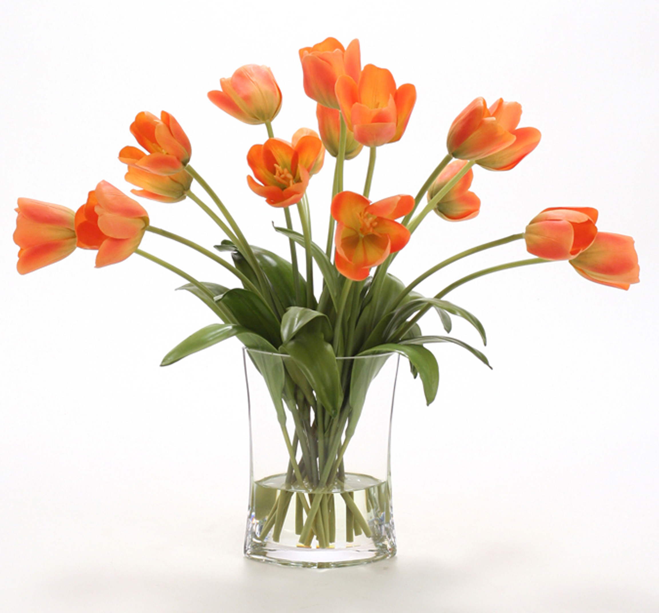 Waterlook ® Silk Bittersweet Tulips in a Clear Glass Pillow Vase