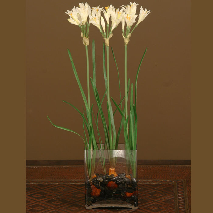 Waterlook ® Silk White Nerine Lily Bulbs in a Glass Vase
