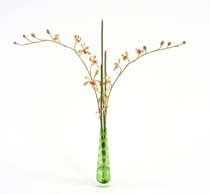 Waterlook ® Silk Gold Vanda Orchid in an Etched Green Bud Vase
