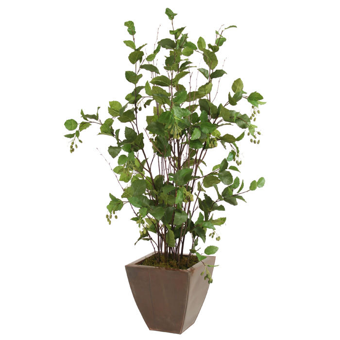 Silk Elm Floor Plant in Square Bronze Metal Contempo Planter Silk Elm Floor Plant in Square Bronze Metal Contempo Planter