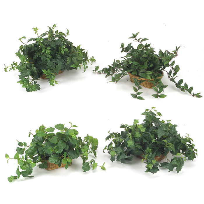 (Set of 4) Silk Ivy Assortment, Each in a Rectangular Shallow Tray Basket (Set of 4) Silk Ivy Assortment, Each in a Rectangular Shallow Tray Basket