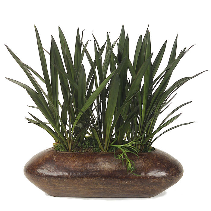 Succulent plants in planter Succulent plants in planter