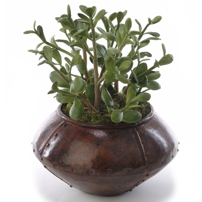 Silk Greenery Jade Plant in a Round Espresso Finish Riveted Metal Planter Free Shipping in