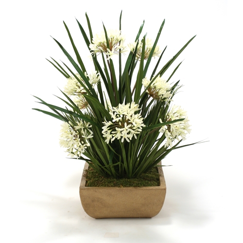 Cream White Agapanthus Mixed with Blade and Bulb Foliage in Honey Walnut Large Square Stone Tray Cream White Agapanthus Mixed with Blade and Bulb Foliage in Honey Walnut Large Square Stone Tray