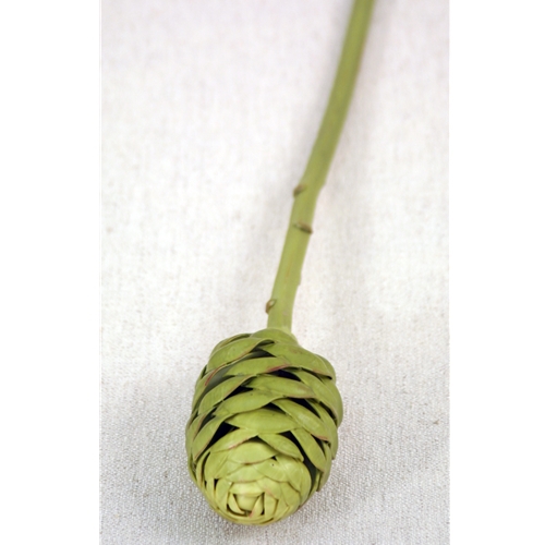 DIY Flower 19.5'L Plastic Olive-Green Honeycomb Protea