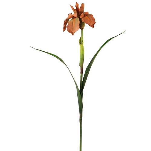 DIY Flower 28' Artificial Melon-Rust Single Bearded Iris, 2 Leaves