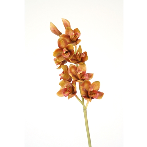 DIY Flower 31'L Artificial Brown Cymbidium Orchid Stem (Pack of 6; 48/Case)