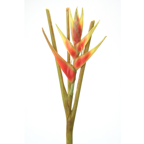 DIY Flower 44'L Artificial Dark Orange Heliconia Stem (Pack of 4; 12/Case)