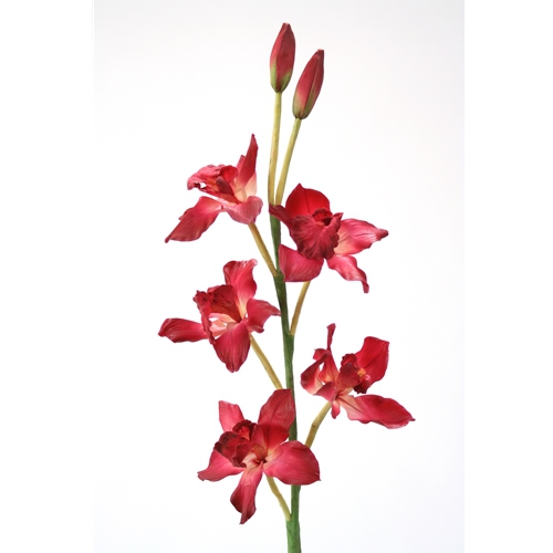 DIY Flower Orchid Cymbidium Orchid x 4