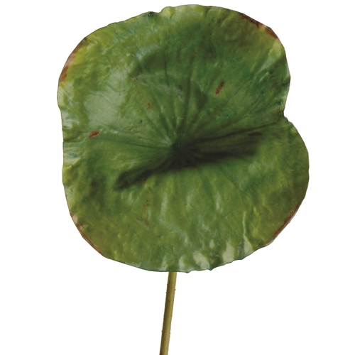 DIY Foliage 28'L Artificial Large Green Lotus Leaf (Pack of 6; 24/Case)