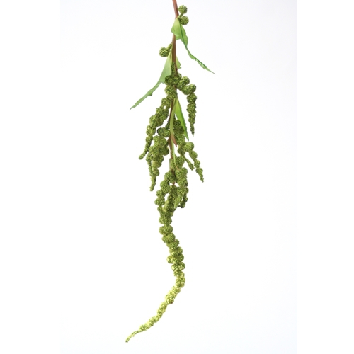 DIY Foliage 34'L Artificial Dark Green Hanging Amaranthus Spray (Pack of 12; 96/Case)