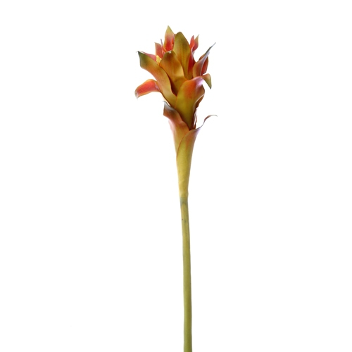 DIY Foliage 36'L Artificial Large Red-Green Guzmania Stem (Pack of 12; 72/Case)