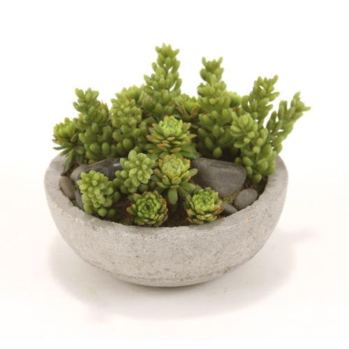 Faux Mixed Succulents and Stones in Concrete-Lite Bowl Faux Mixed Succulents and Stones in Concrete-Lite Bowl