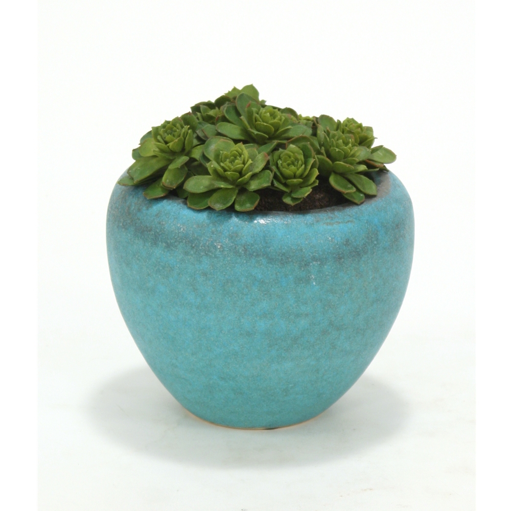 Hen ® Chicken in Large Turquiose Pot (pack of 2) Hen ® Chicken in Large Turquiose Pot (pack of 2)