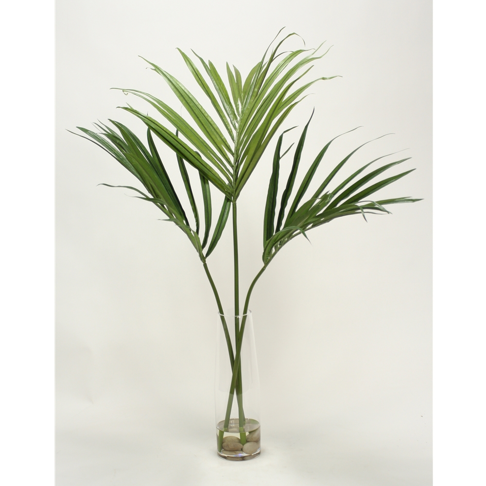 Kentia Palm fronds in clear cylinder Free Shipping in USA