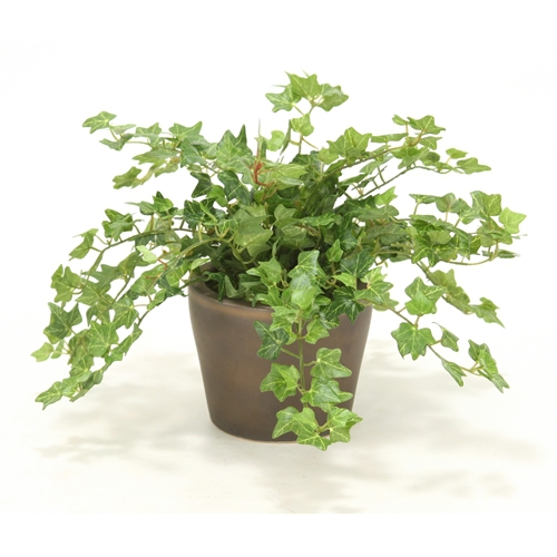 Mini Silk Ivy and Foliage Assortment, Each in Small Bronze Finish Pot