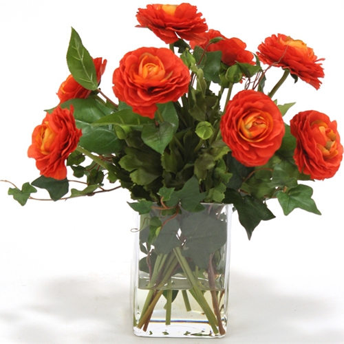 Waterlook ® Dark Orange Ranunculus with Ivy and Basil in Square Glass