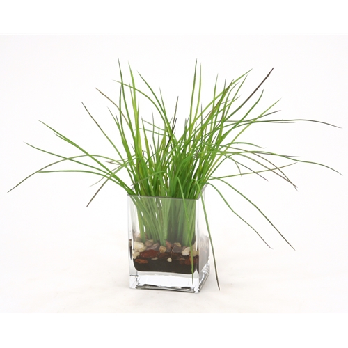 Waterlook ® Green Grass with Soil in Rectangular Glass Waterlook ® Green Grass with Soil in Rectangular Glass