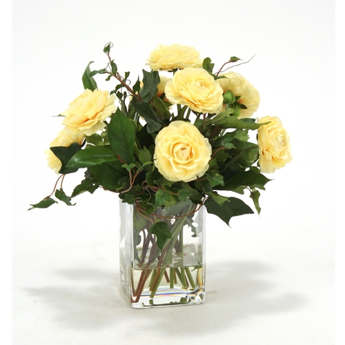 Waterlook ® Light Yellow Ranunculus with Ivy and Basil in Square Glass