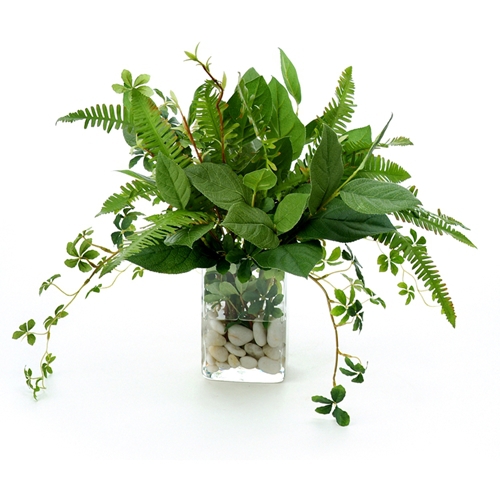 Waterlook ® Silk Bay Leaf Foliage, Ferns and Willow in a Small Glass Vase Waterlook ® Silk Bay Leaf Foliage, Ferns and Willow in a Small Glass Vase