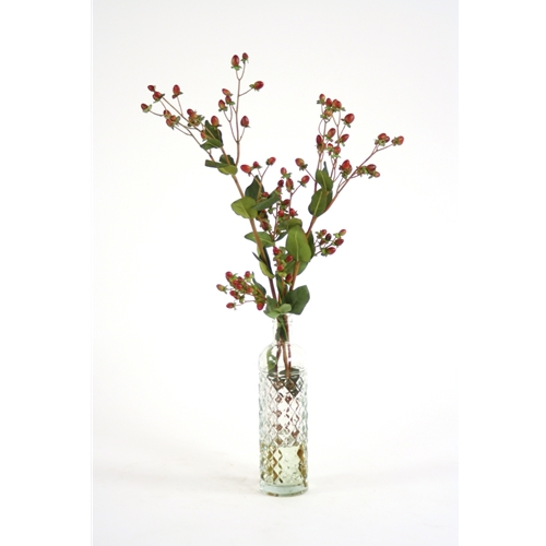 Waterlook ® Silk Hypericum Berries with Foliage in an Anise Glass Bottle (Pack 1) Waterlook ® Silk Hypericum Berries with Foliage in an Anise Glass Bottle (Pack 1)