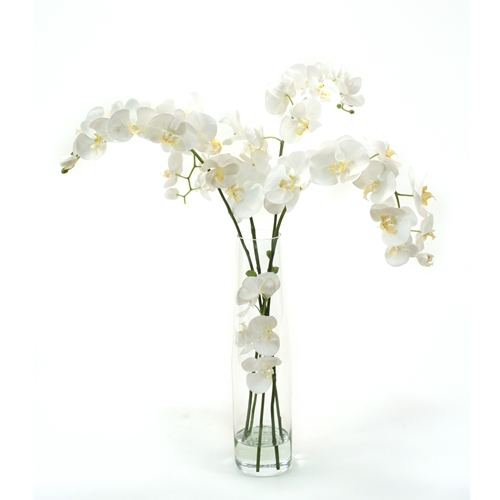 Waterlook ® Silk White Phaleanopsis Orchids in Clear Inverted Glass Cylinder