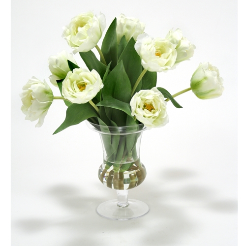 Waterlook ® White Green Parrot Tulips in Glass Urn