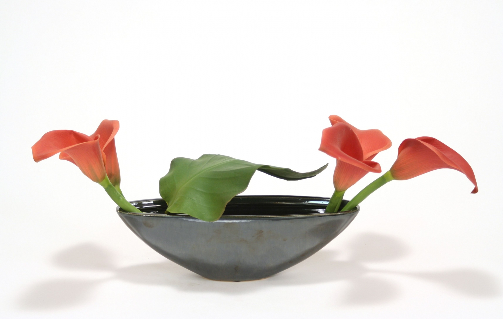 Dark Rust Calla Lily in Small Earthenware Vase