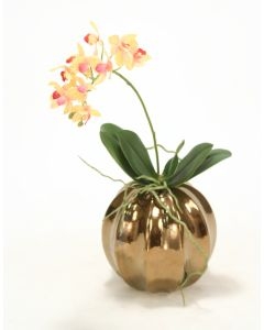 Rose Pink Cream Mini Orchid in Burnt Gold Ball Vase (min pack 2)