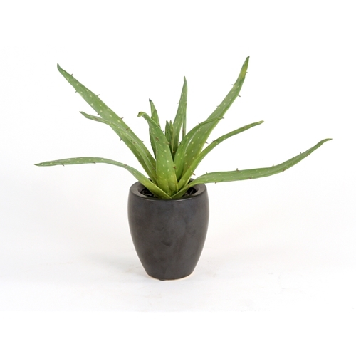 Silk Greenery Aloe Desk Top Plant in Pot Silk Greenery Aloe Desk Top Plant in Pot