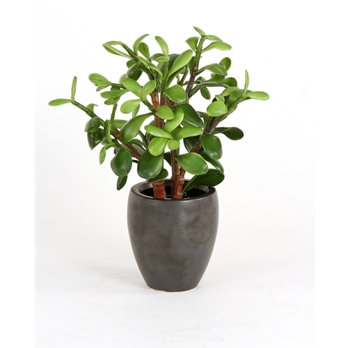 Silk Greenery Jade Desk Top Plant in Pot Silk Greenery Jade Desk Top Plant in Pot