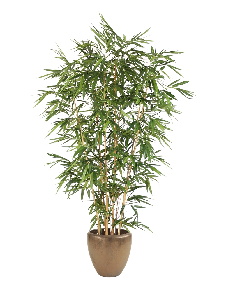 Bamboo Tree in Planter Bamboo Tree in Planter