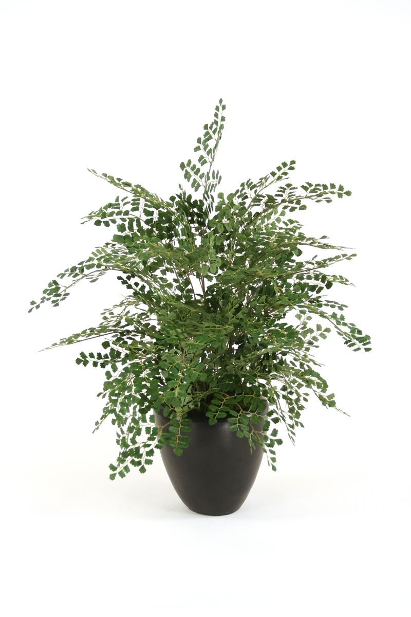 Silk Maidenhair Fern Floor Plant in Planter Silk Maidenhair Fern Floor Plant in Planter