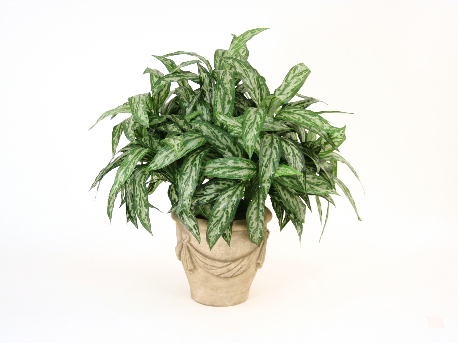 Silk Silver Queen Floor Plant in Planter Silk Silver Queen Floor Plant in Planter