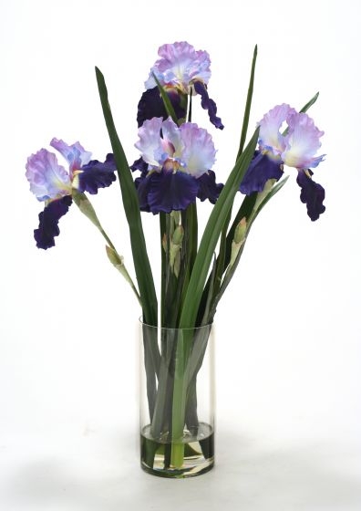 Waterlook (R) Blue-Violet Irises w/ Grass Blades in Glass Cylinder