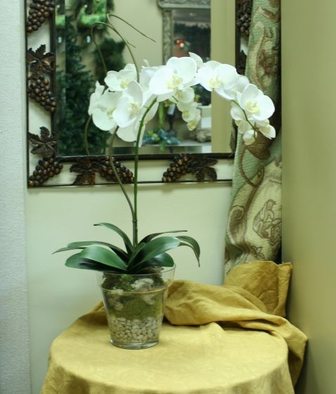 Waterlook (R) Cream White Phaleanopsis Orchid with Whip Grass in Glass Flower Pot Vase