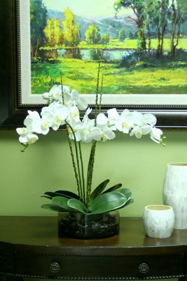 Waterlook (R) Cream White Phaleanopsis Orchids w/ Foliage in Low Round Glass Vase