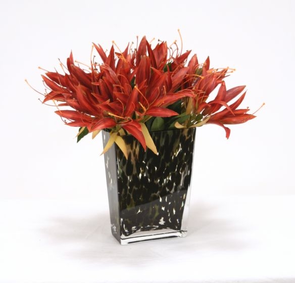 Waterlook (R) Dark Orange Amaryllis with Laurel in Flared Spotted Glass Vase