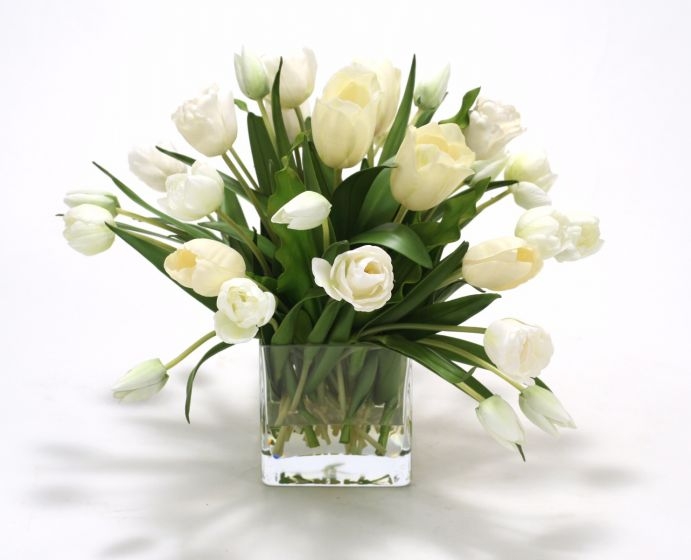 Waterlook (R) Elegant Cream White Tulips In Glass Cube