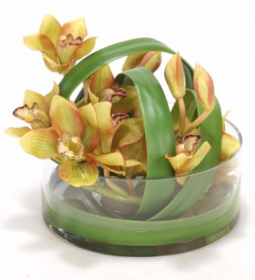 Waterlook (R) Green Cymbidium Orchids in Clear Glass Vase