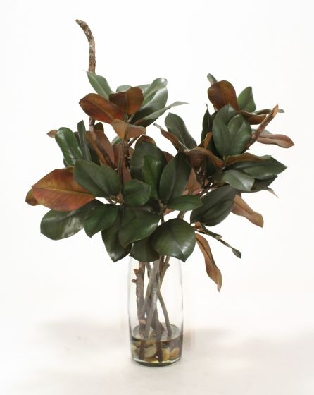 Waterlook (R) Magnolia Foliage and Branches in Glass Cylinder Waterlook (R) Magnolia Foliage and Branches in Glass Cylinder