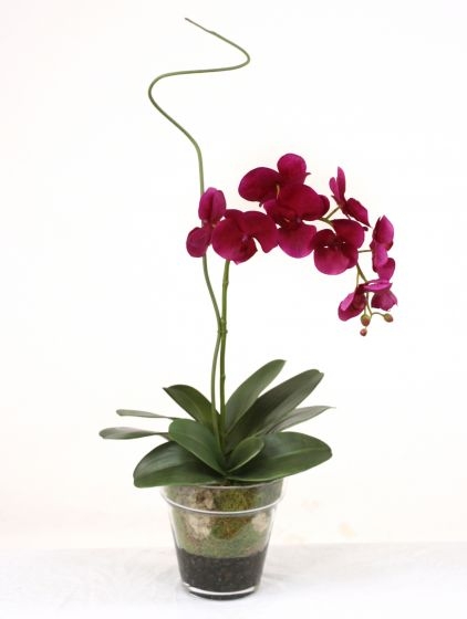 Waterlook (R) Violet Phaleanopsis Orchid with Whip Grass in Glass Flower Pot Vase